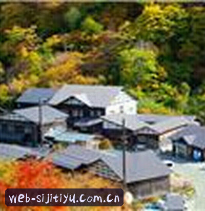 孙悦